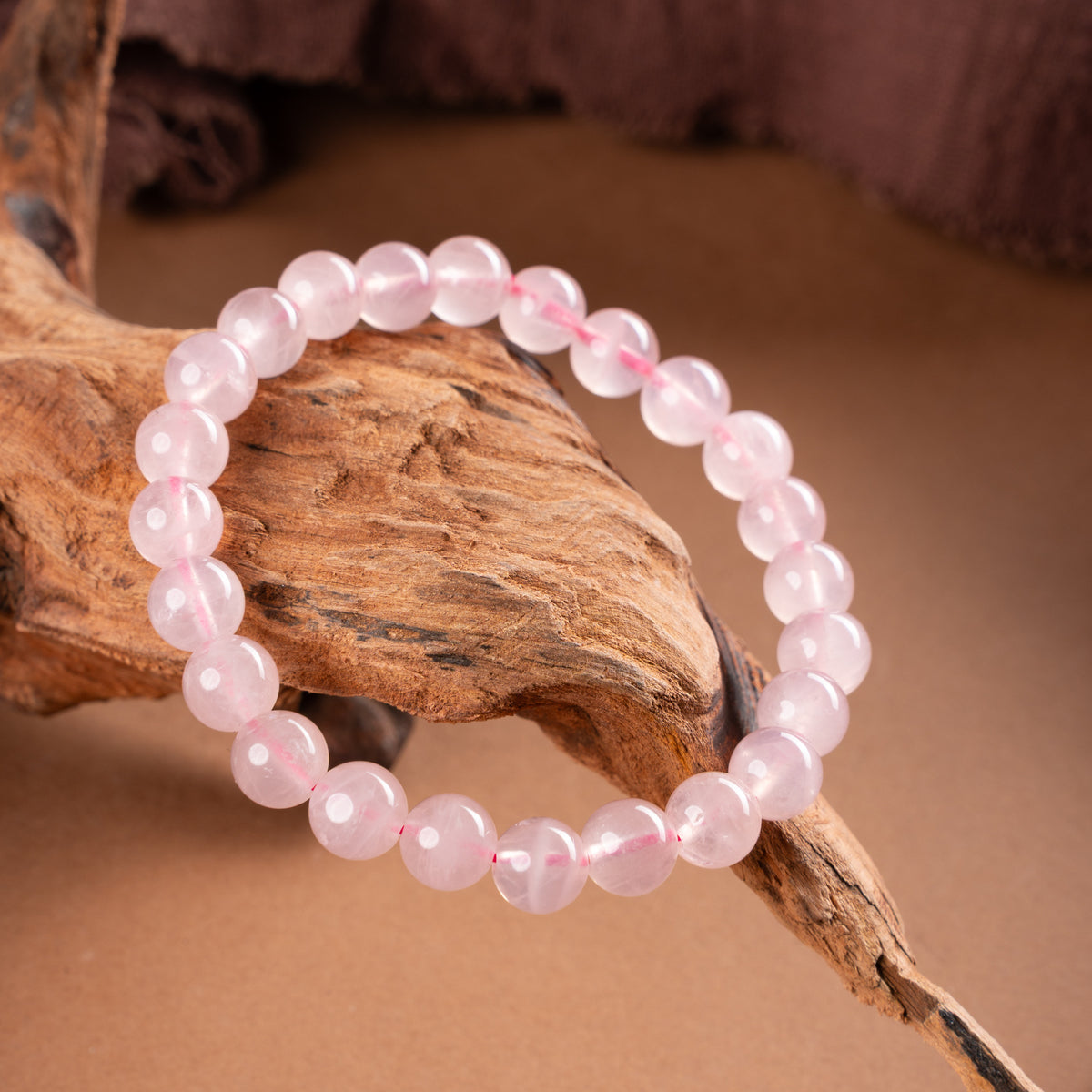 Shell Pink — Detail view 3